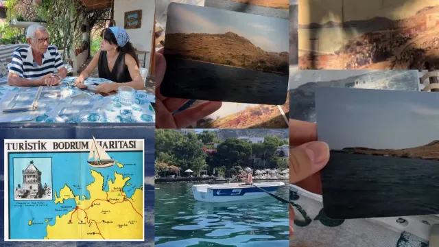 Bodrum'dan Yanlışlıkla Aldığı Kayalık Araziyi Ormana Dönüştürdü