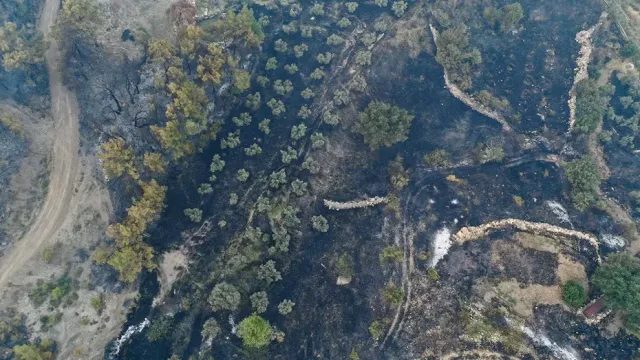 Seydikemer Orman Yangınında 24 Saat Geride Kaldı: Günün Işıklarıyla Acı Tablo Ortaya Çıktı