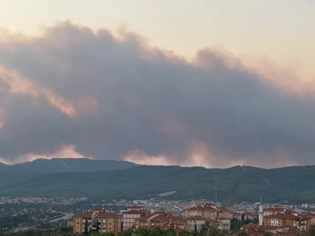 Muğla'da Orman Yangını: Kuvvetli Rüzgarla Büyüyen Alevlere Müdahale Ediliyor