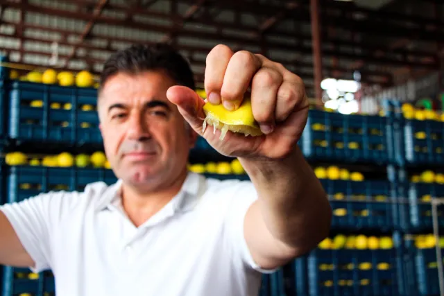 Bahçede 5 TL Olan Limon Markette 100 TL: Çiftçi ve Tüketici Dert Yanıyor