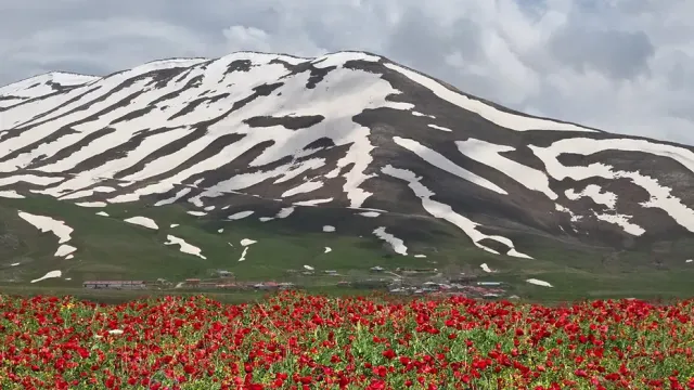Van'da Şaşırtan Manzara: Aynı Günde İki Farklı Mevsim Bir Arada