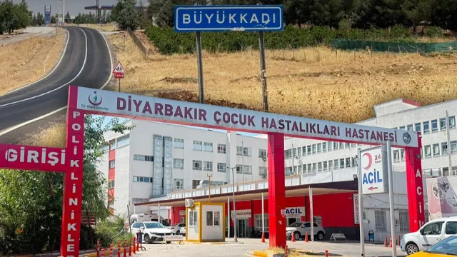 Diyarbakır'da Korkutan Olay: Kediden Kuduz Geçer Mi?