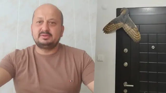 Trabzon'da Korkutan Gece: Hırsız Sanmıştı, Karşısına Peçeli Baykuş Çıktı