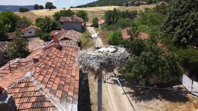 Kütahya'nın Sadık Misafirleri: Her Yıl Sofça Köyü'ne Geri Dönüyorlar