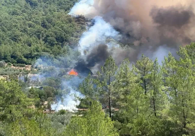 Muğla Fethiye'de Orman Yangını: Bir Mahalle Tahliye Edildi