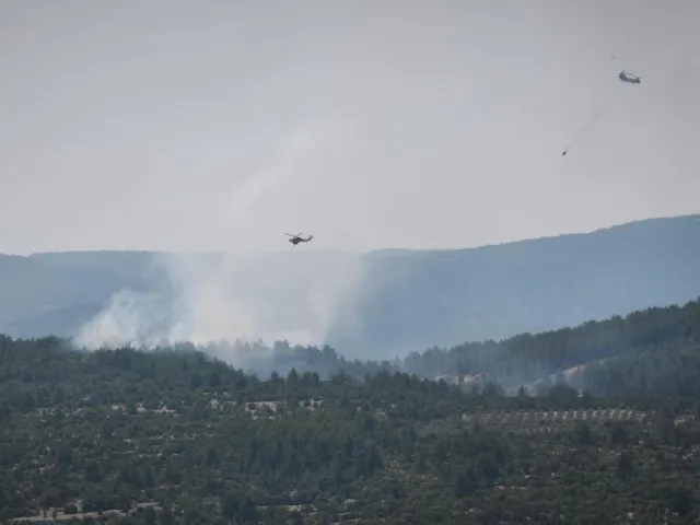 Muğla'da Orman Yangını: Ekipler Alevlere Müdahale Ediyor