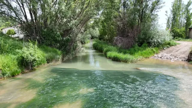 Tecer Irmağı Yeniden Canlandı: Türkülere Konu Olan Irmak Eski Günlerine Döndü
