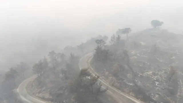 Aydın Çine'deki Orman Yangınında Acı Tablo Gözler Önüne Serildi