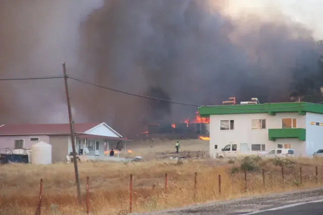 Çanakkale Bayramiç'te Orman Yangını: Havadan ve Karadan Yoğun Müdahale