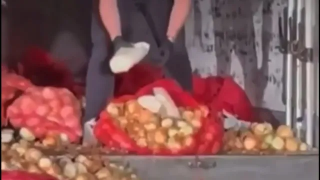 Ankara'da Soğan Torbalarında 150 Kilogram Uyuşturucu Yakalandı