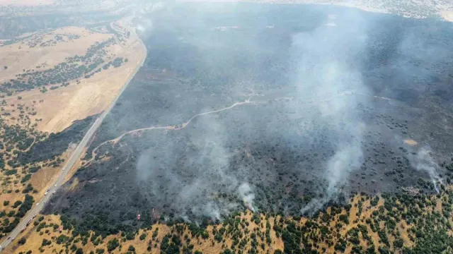 Elazığ'da Orman Yangını: Ekipler Alevlere Müdahale Ediyor