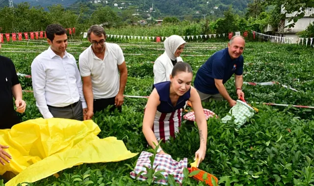 Ece Mumay Arhavi'de Çay Topladı ve Sahnesiyle Büyüledi