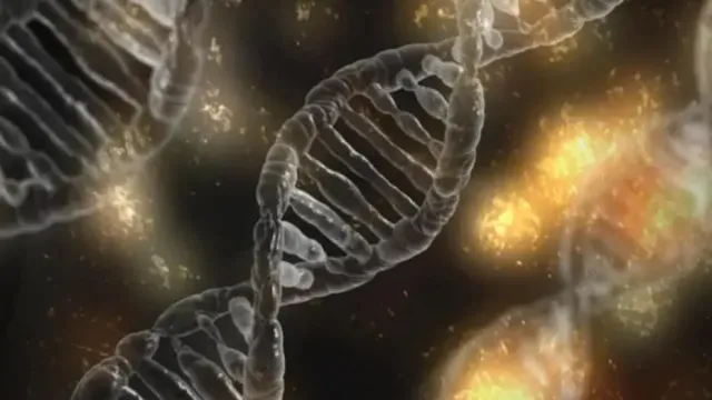Çin'de Çocuk Ölümüne Neden Olan Genetik Deney İddialarına Soruşturma