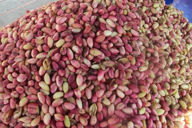 Şanlıurfa'da Tescilli Ketenköyneği Fıstığı Tezgahta: Kilogramı 700 Liradan Satışa Sunuldu