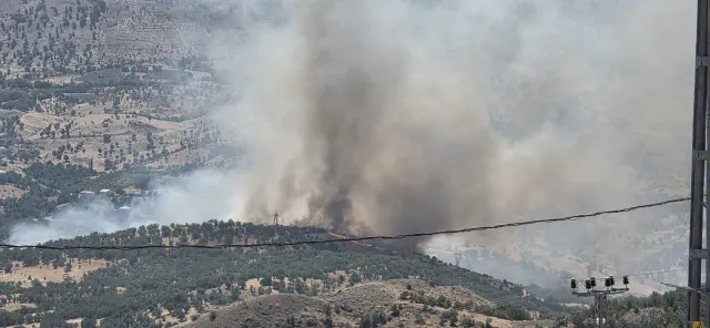 Adıyaman Gerger'de Orman Yangını: Havadan ve Karadan Müdahale Başlatıldı