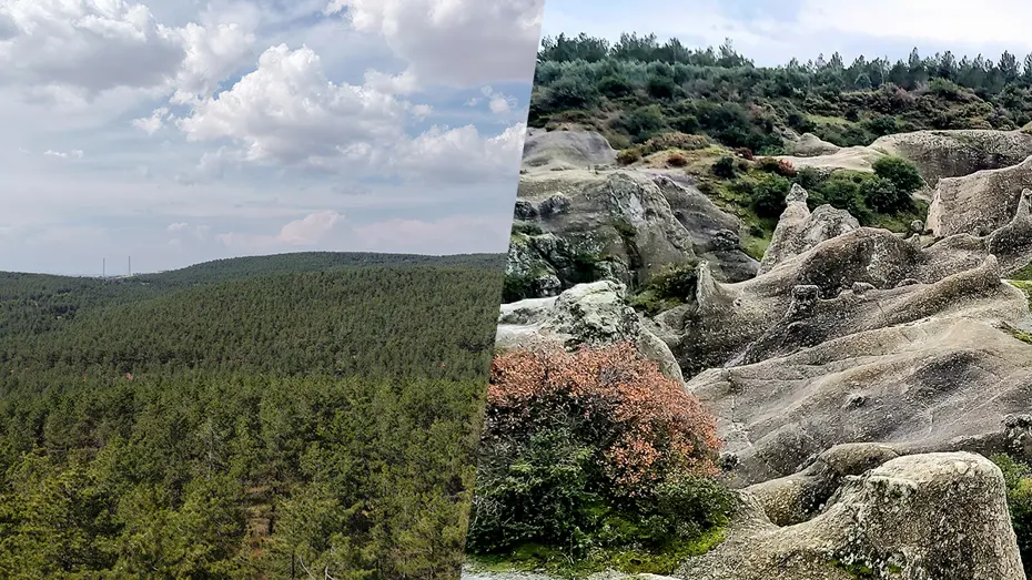 Türkiye'nin Yeni Tabiat Parkları: Manisa ve Gaziantep'te Koruma Altına Alınan Alanlar