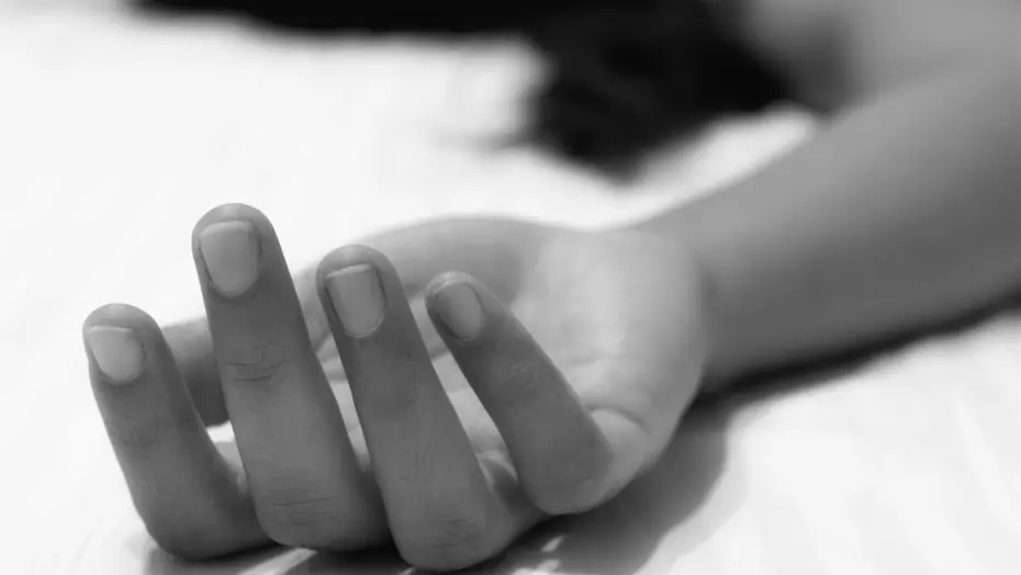 Zehirli Paket Skandalı: Kenneth Law 14 Suçlamayı Kabul Etmeye Hazırlanıyor