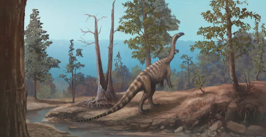 Zimbabve'de 210 Milyon Yıllık Yeni Dinozor Türü Keşfedildi